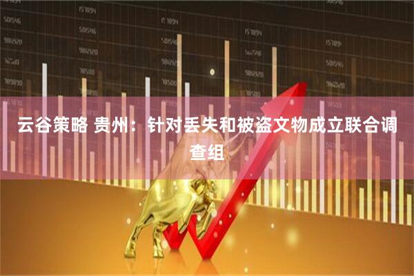 云谷策略 贵州：针对丢失和被盗文物成立联合调查组